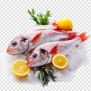 icon Frozen Seafoods